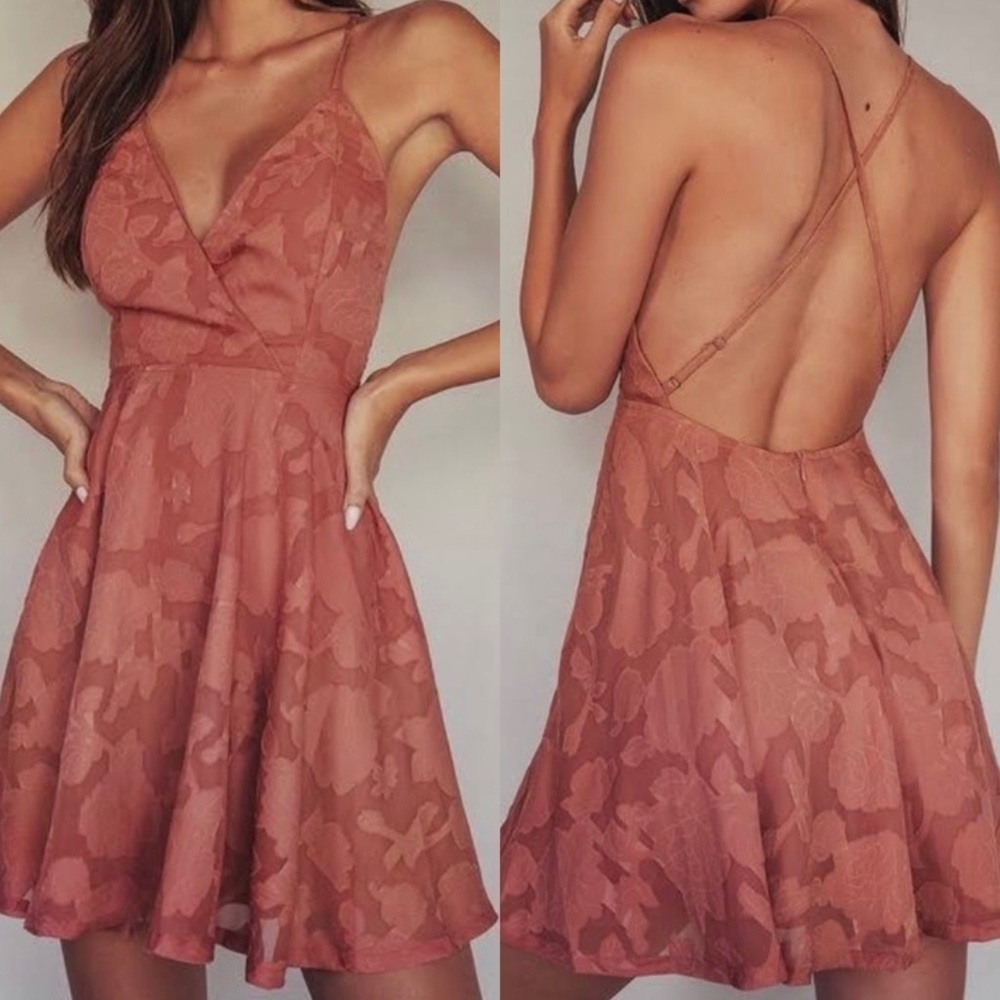 NWT Lulu’s Days of Beauty Rose Pink Burnout Floral Skater Dress